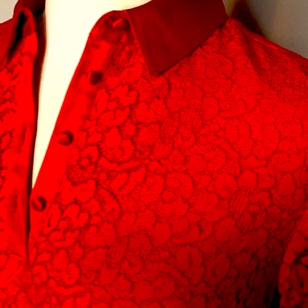 RED like NEW Banana republic red sheath LACE collared flounce sleeve Dress XS